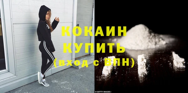 СК Алексин
