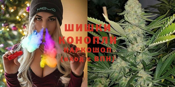 СК Алексин