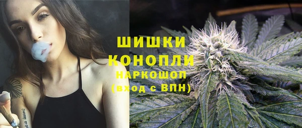 PSILOCYBIN Алексеевка