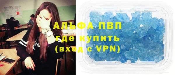 СК Алексин