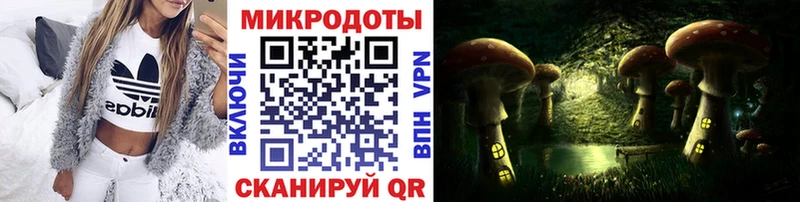 купить наркоту  Болохово  Псилоцибиновые грибы прущие грибы 